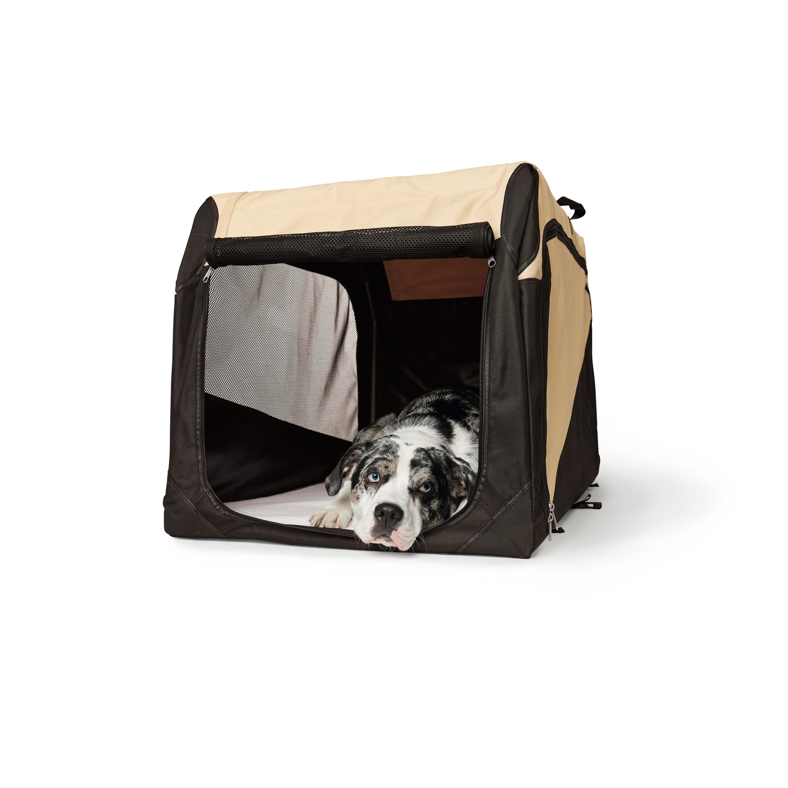 Hunter | Faltbare Hundebox | Nylon | Beige | Robust | Praktisch | Transport