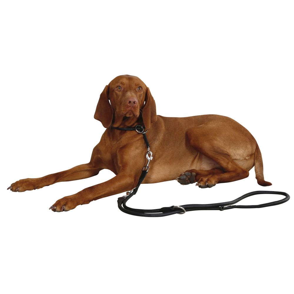 Hundehalsband | Rundleder-Halsband Roma | mit Stopper | versch. Modelle