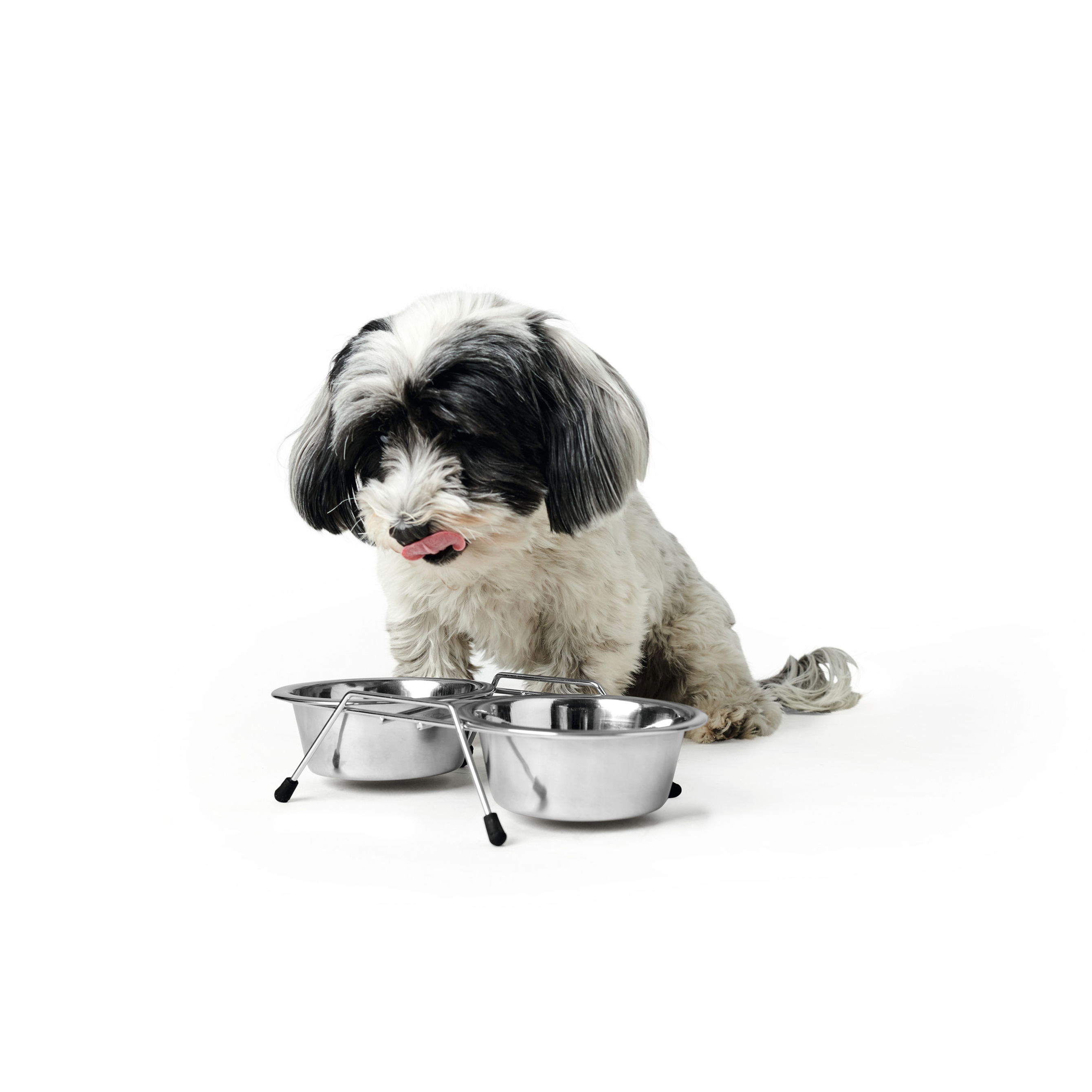 Hunter | Double | Doppelnapf | Edelstahl | Silber | Edel | Schick | Robust