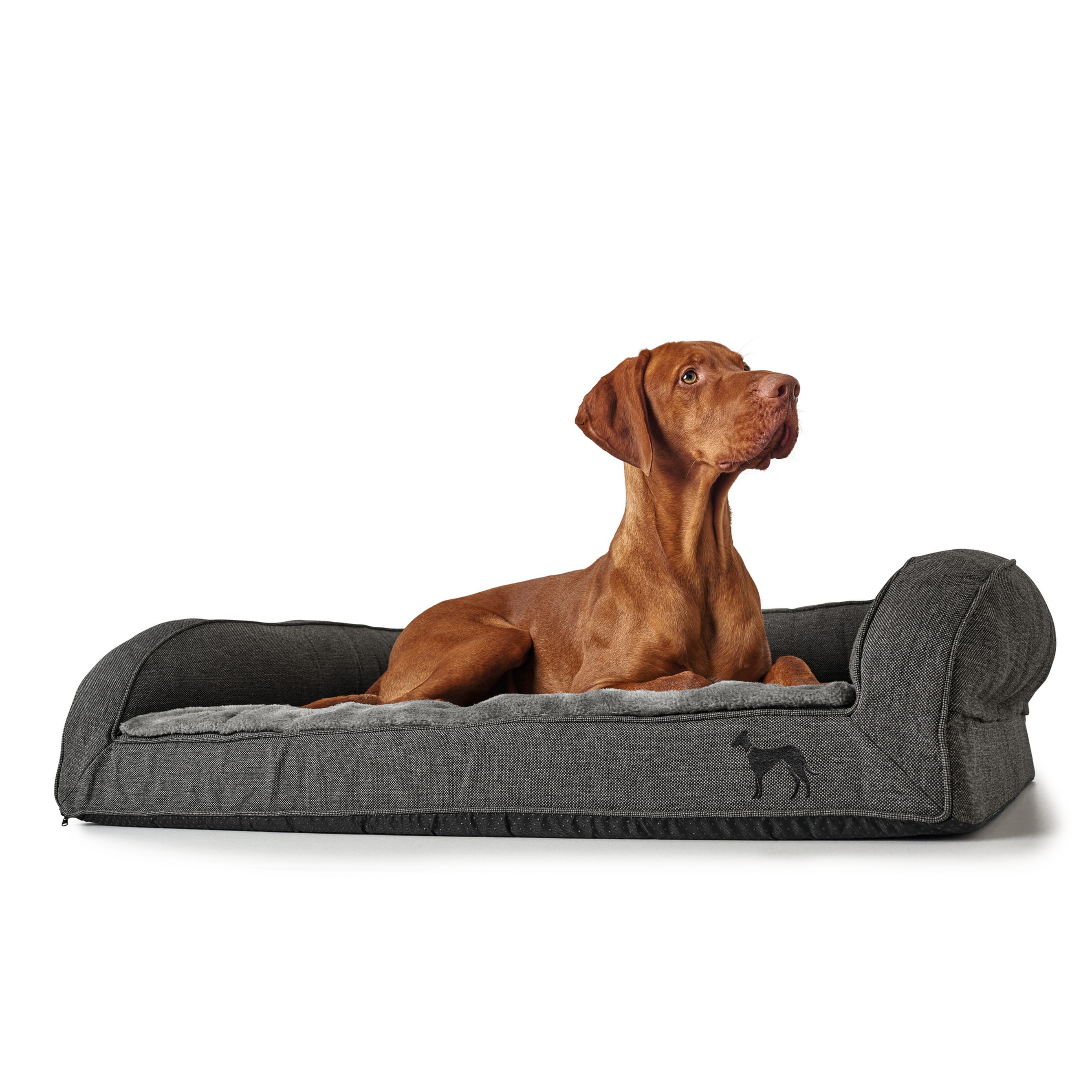 Hunter | Livingston | Orthopädisches Hundesofa | Polyester | Schaumstoff | Anthrazit