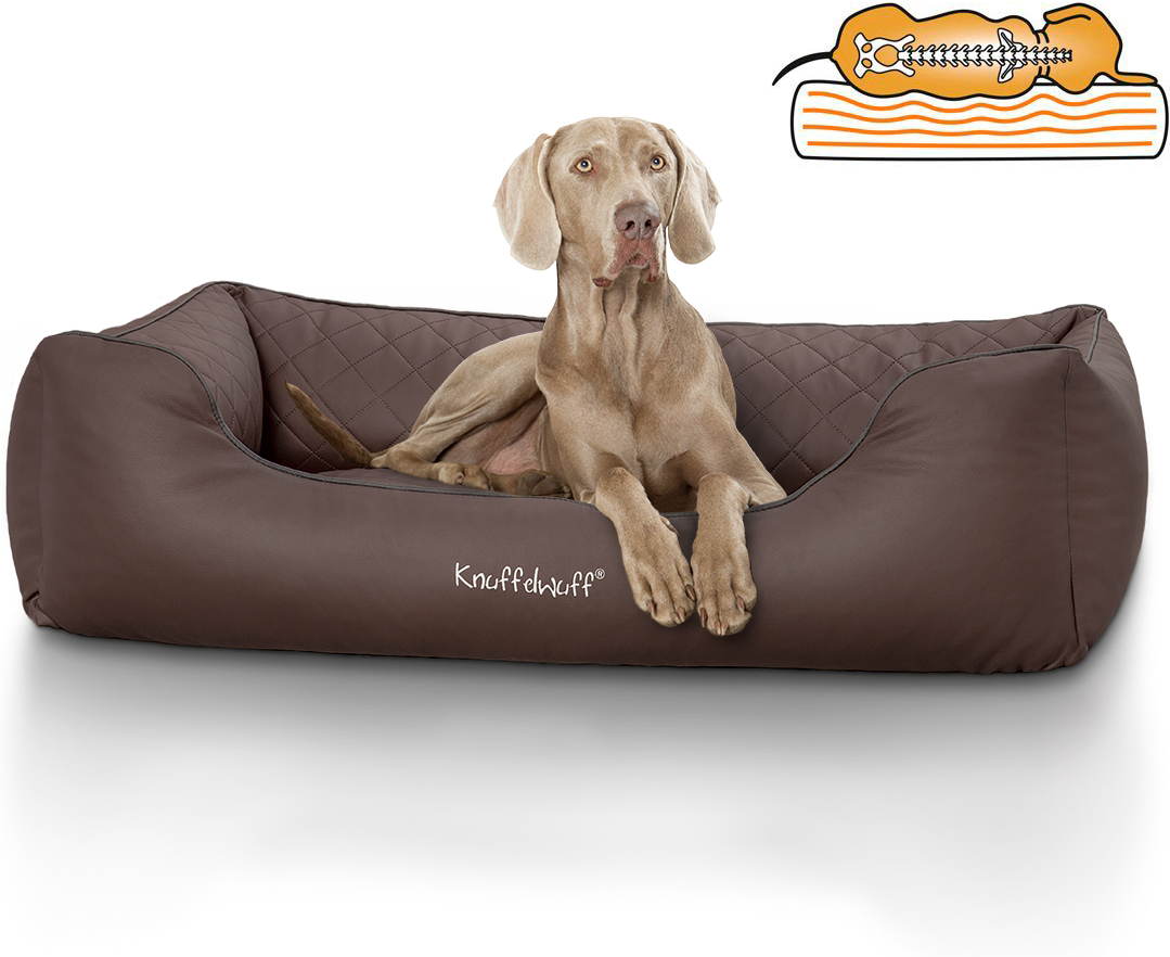 Knuffelwuff | Orthopädisches Hundebett Madison | Ergonomisch |  Hundematte | Matratze | Memory Foam