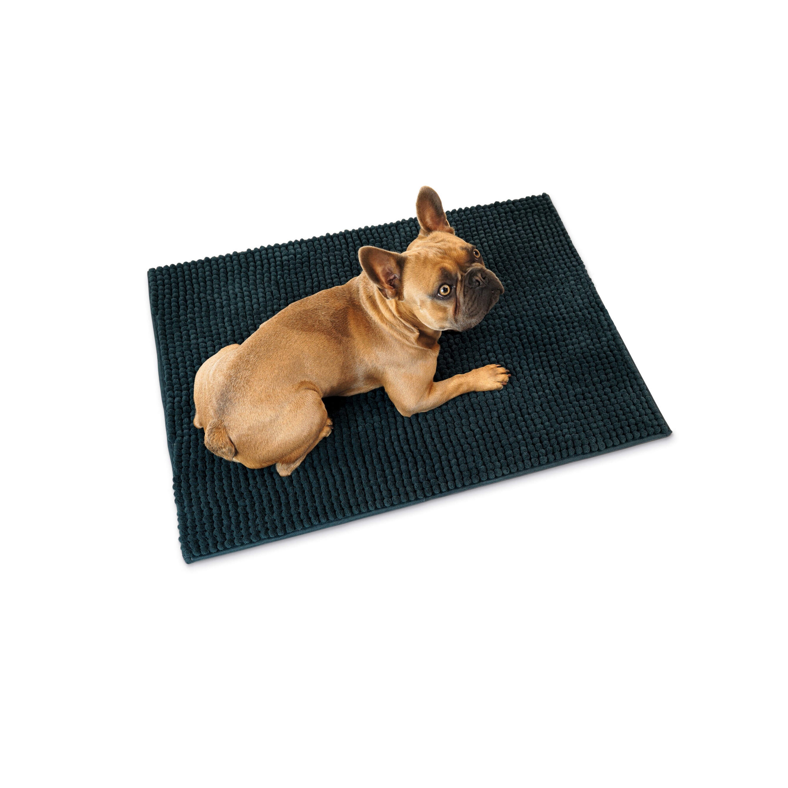 Hunter | Waterloo | Schmutzfang Hundematte | Polyester | TPR | Anthrazit