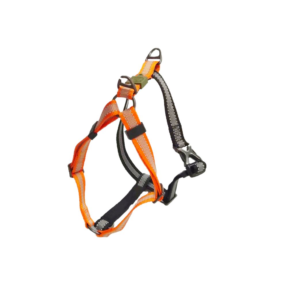 AFP | Hundegeschirr | Off Street Dog Non-pull Harness Tangerine | versch. Größen