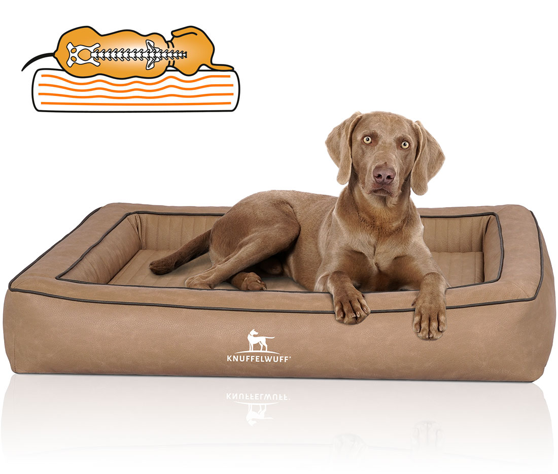 Knuffelwuff | Orthopädisches Hundebett Montego | Ergonomisch | Hundematte | Matratze | Memory Foam