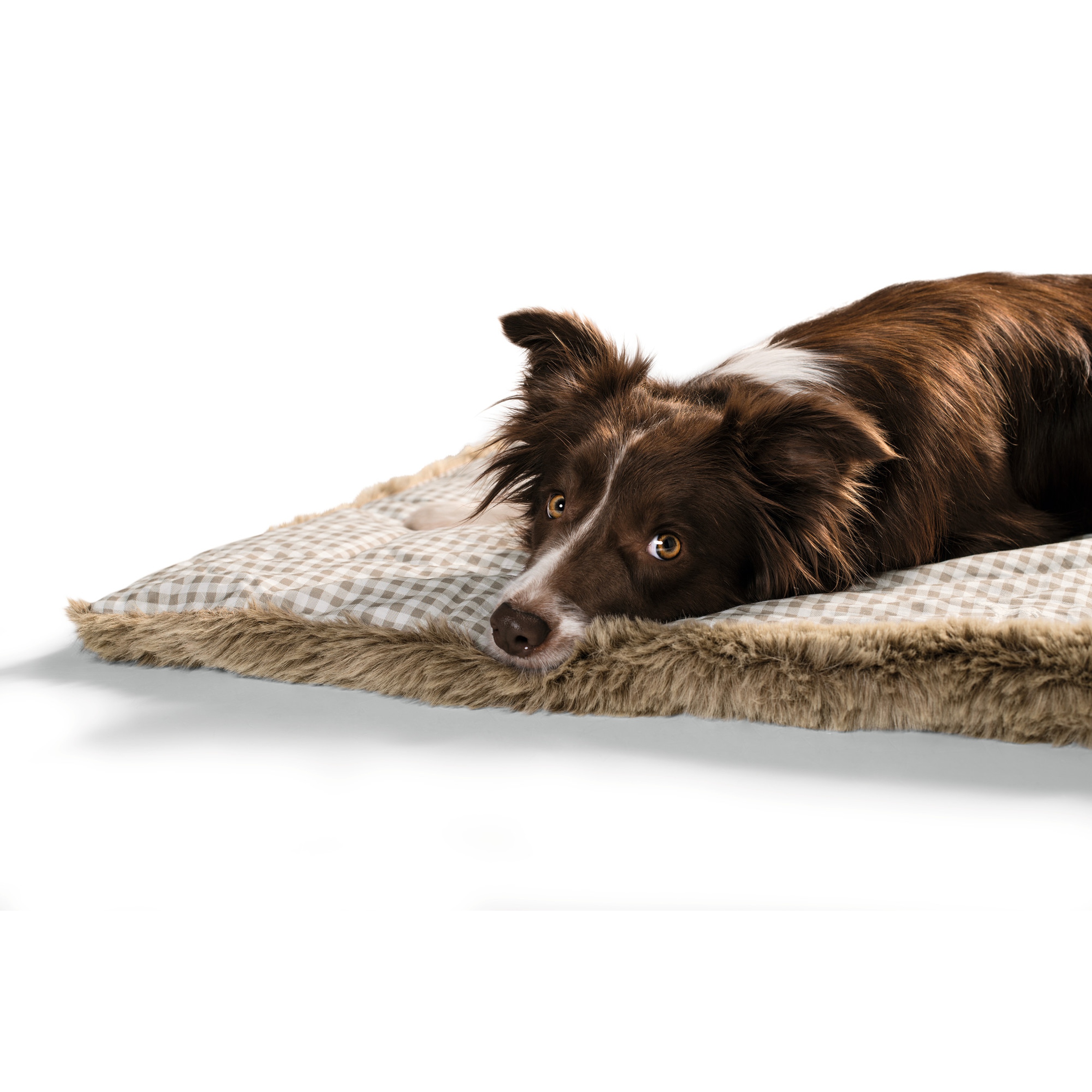 Hunter | Astana | Hundedecke | Baumwolle | Polyester | 120x80 cm | Komfort | Gemütlich | Langlebig