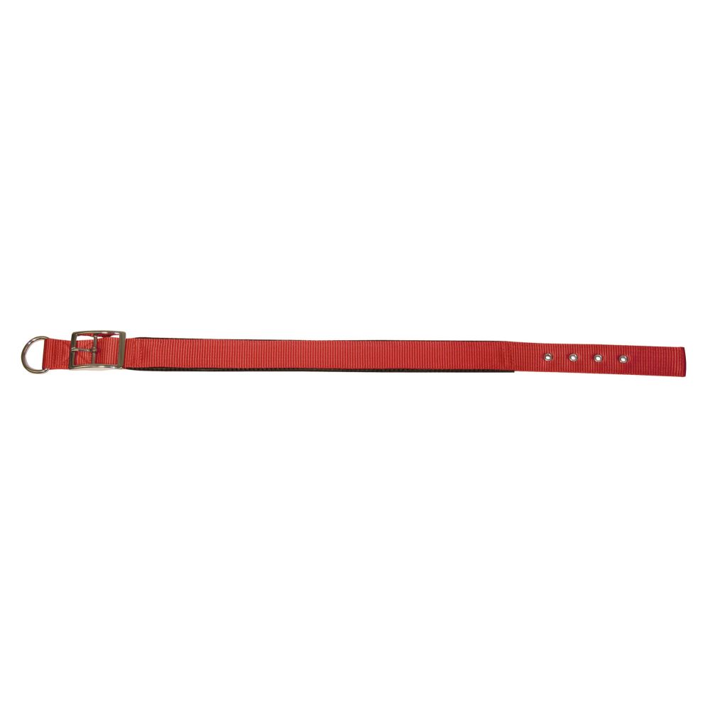 Hundehalsband | MIAMI PLUS Nylonhalsband | mit Softeinlage | versch. Modelle