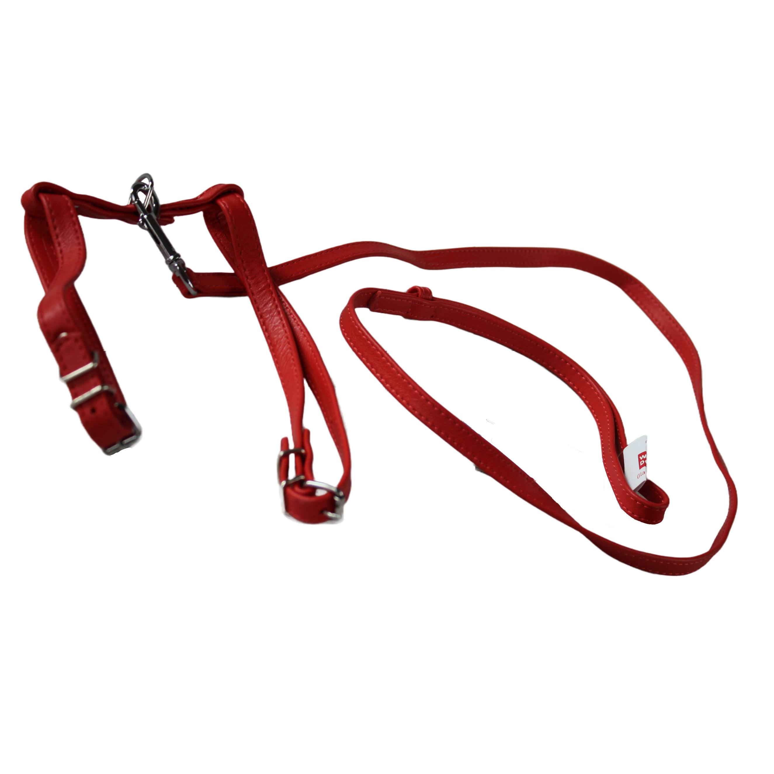WAUDOG | Hundeleine mit Hundegeschirr | Glamour | Rot | 115 cm Länge | Halsumfang 25-33 cm | Lederle