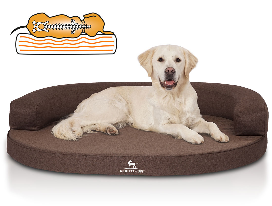 Knuffelwuff | Orthopädisches Hundebett Balin | Ergonomisch | Hundematte | Matratze | Memory Foam