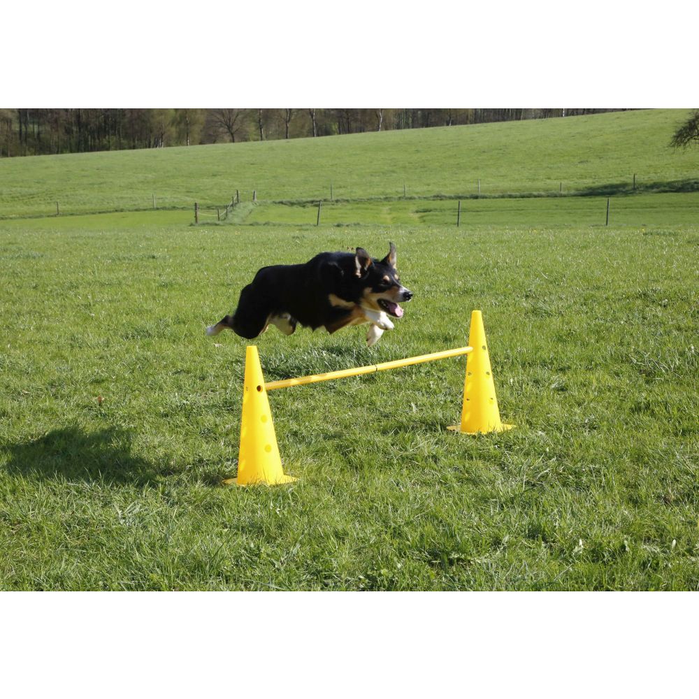 Agility Pylonen-Hürden Set | gelb | 3 Hürden