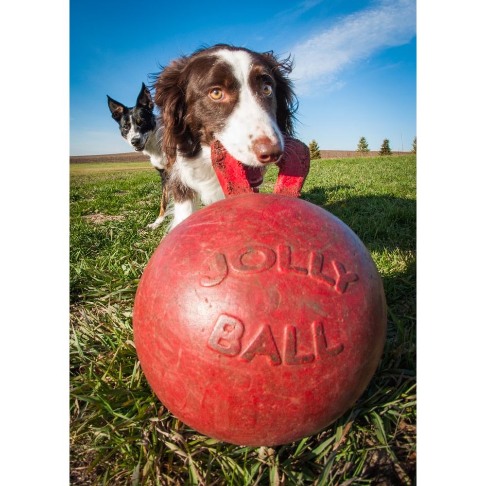 JOLL044A_TM_JOLL047F_1