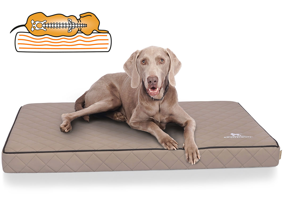 Knuffelwuff | Orthopädisches Hundebett Juna | Hundematte | Ergonomisch | Hundematratze | Memory Foam