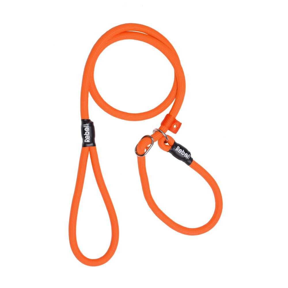 Hundeleine | Führleine | Training Leash | versch. Varianten