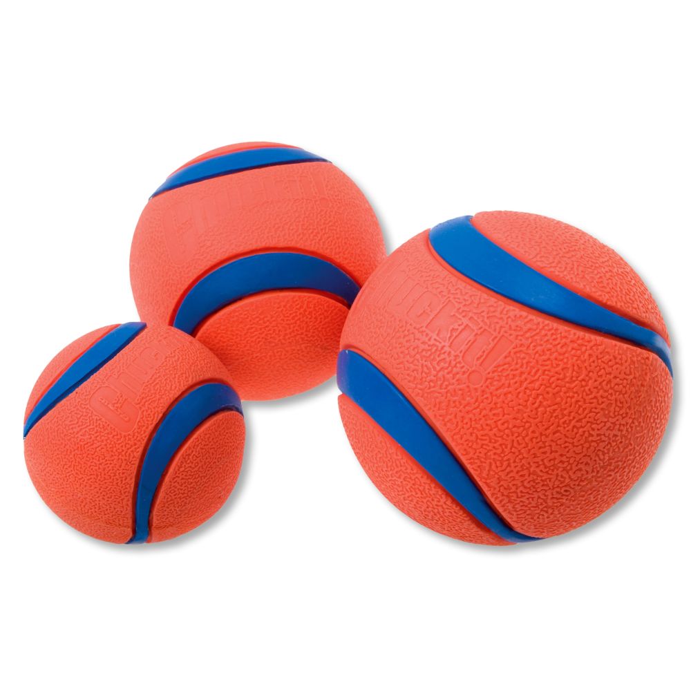 ChuckIt | Wasser | Apportieren | Schwimmfähig | Orange | Blau | 2 Pack