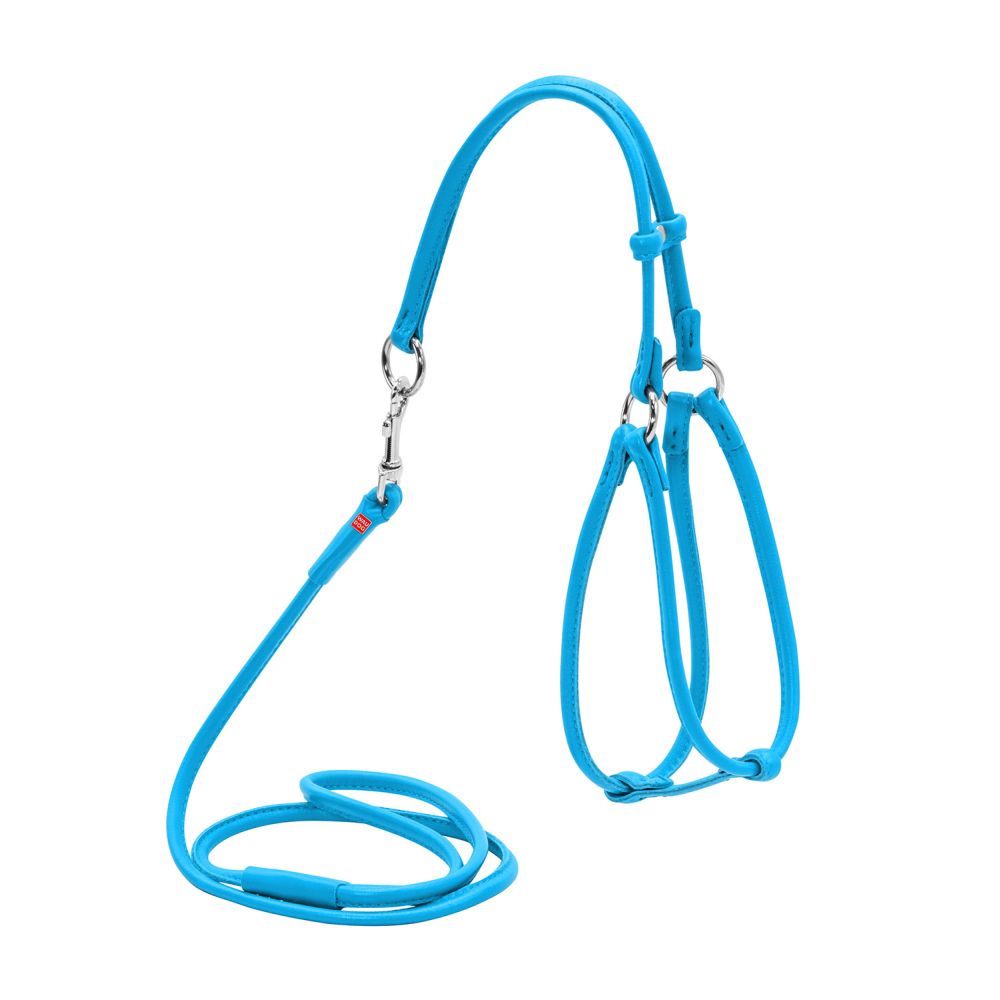 WAUDOG | Hundegeschirr mit Leine Glamour | Blau | Halsumfang 42-60 cm | Hoher Tragekomfort