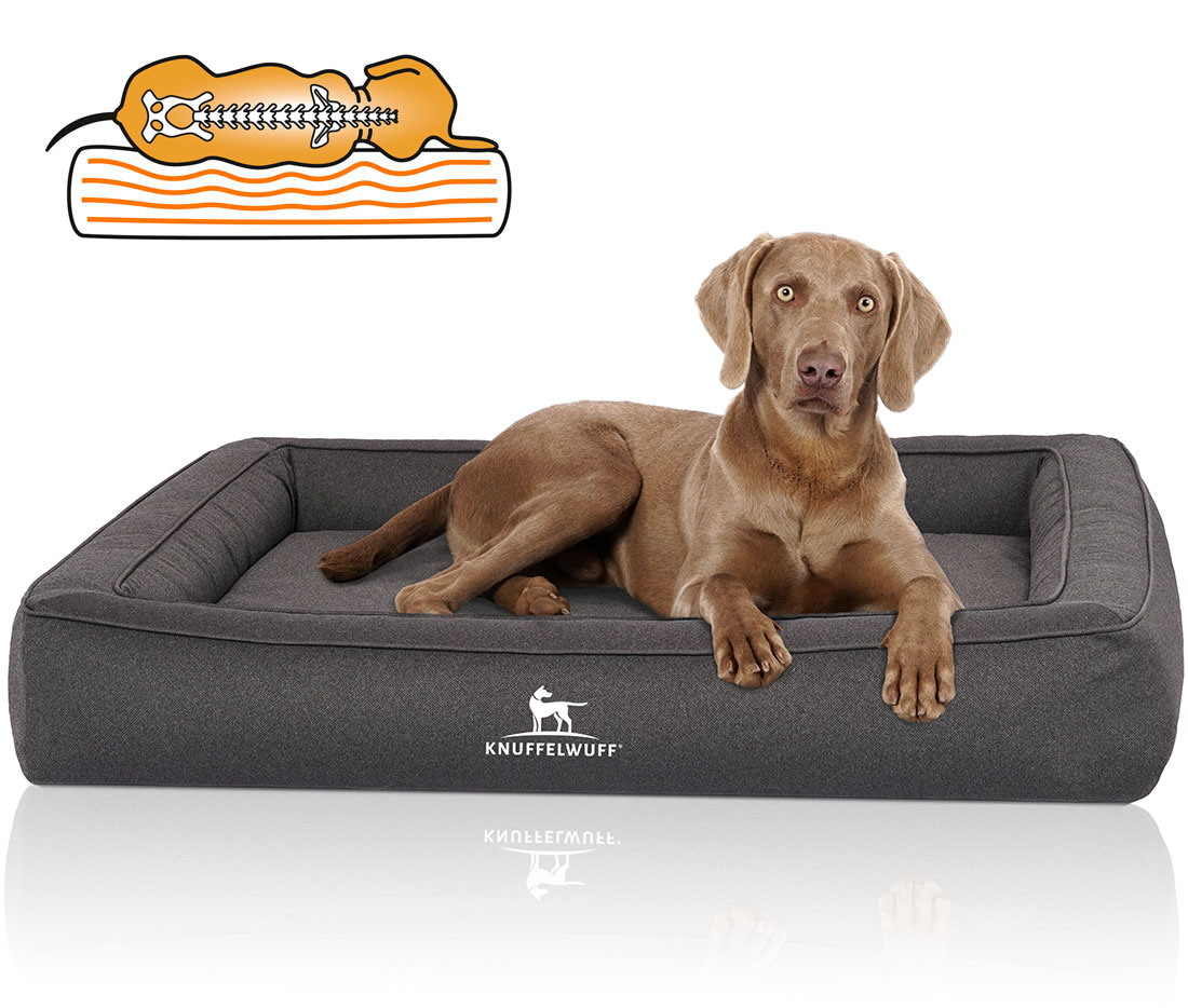 Knuffelwuff | Orthopädisches Hundebett Yukon | Ergonomisch | Hundematte | Matratze | Memory Foam