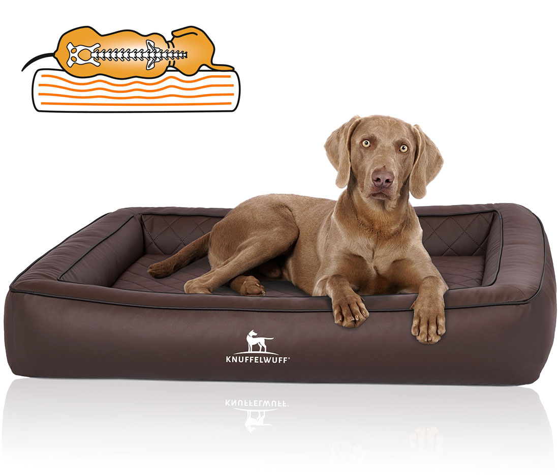 Knuffelwuff | Orthopädisches Hundebett Hampstead | Ergonomisch | Hundematte | Matratze | Memory Foam
