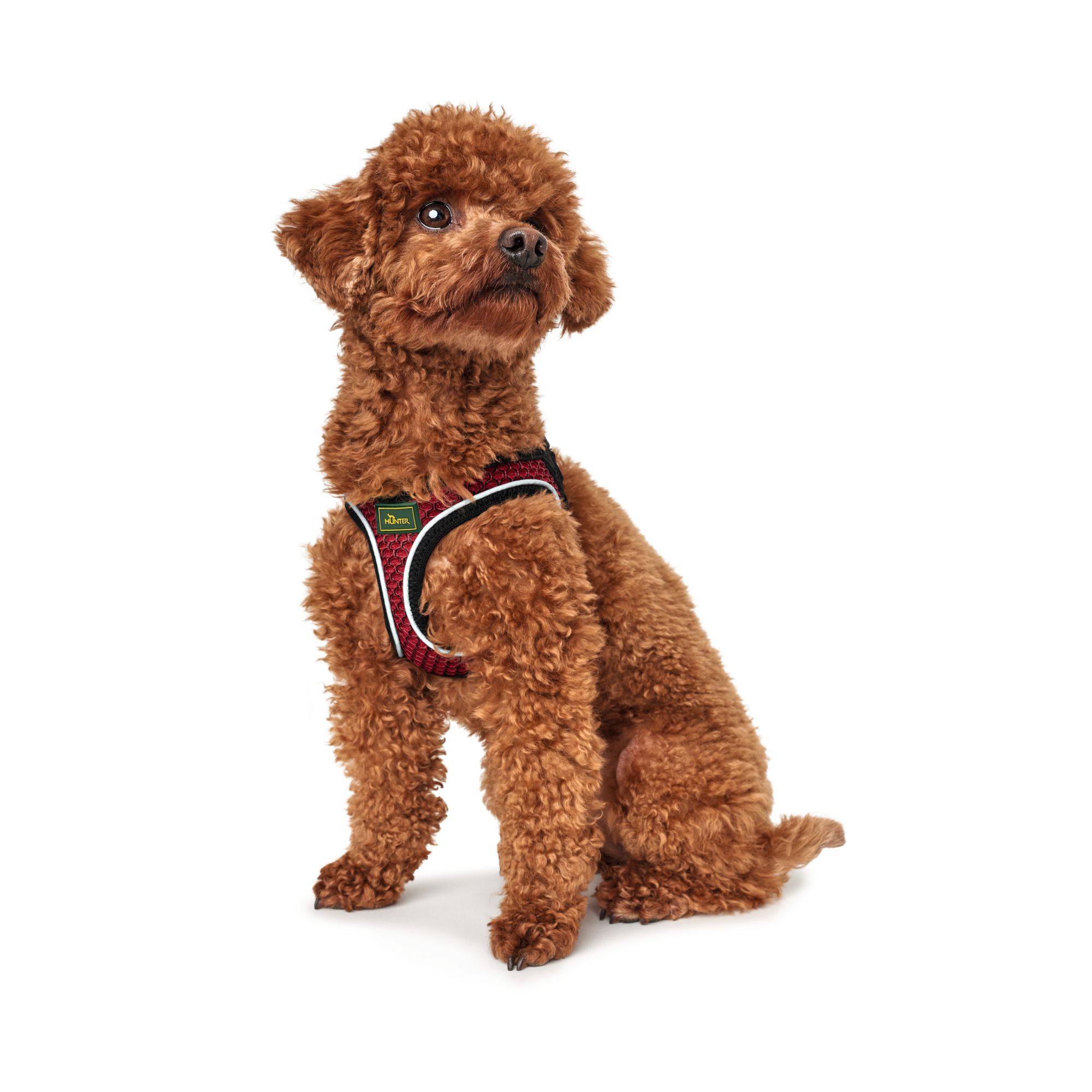 Hunter | Hundegeschirr | Hilo Comfort | Nylon | Langlebig | Komfort | versch. Farben u. Größen