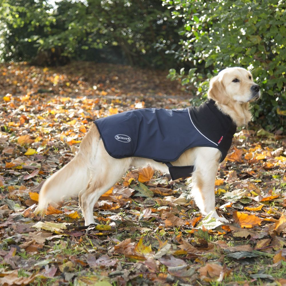 Hundebekleidung | Thermo Hundemantel | Marineblau | versch. Größen