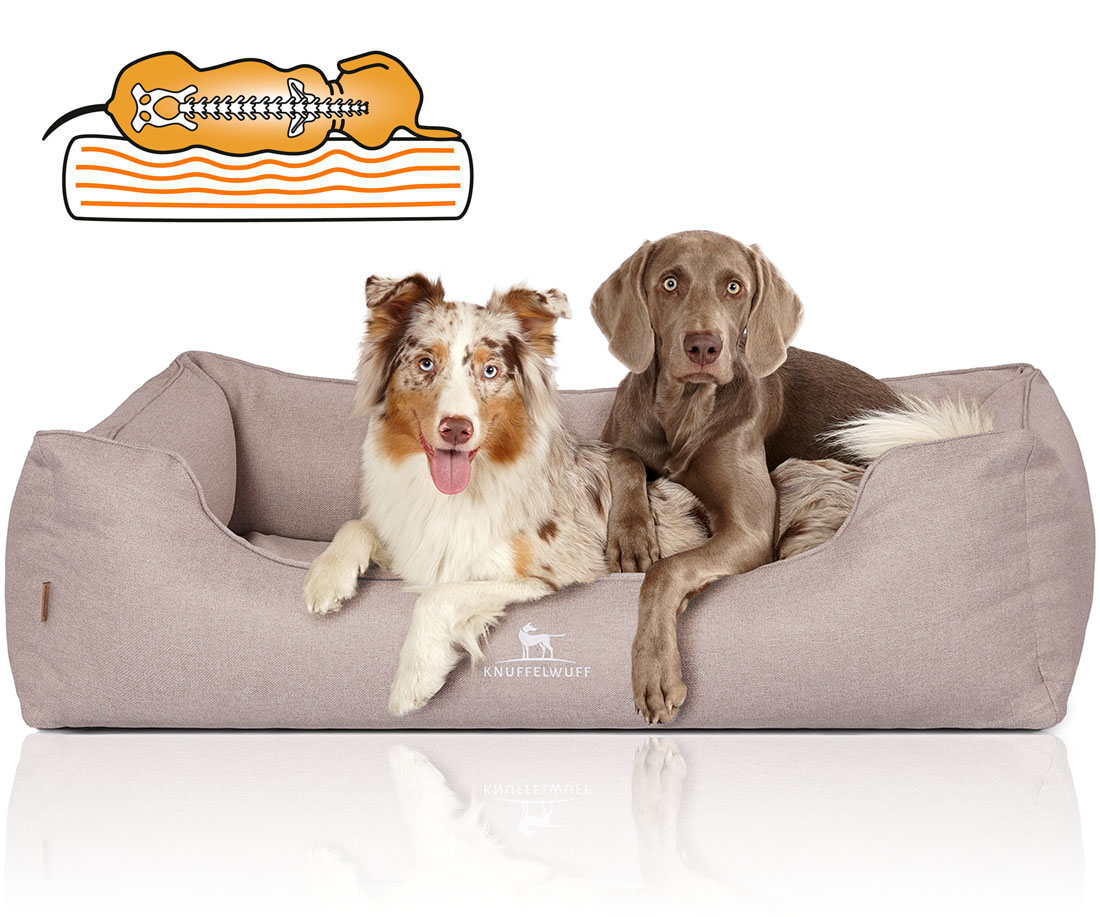 Knuffelwuff | Orthopädisches Hundebett Luisa | Ergonomisch |  Hundematte | Matratze | Memory Foam