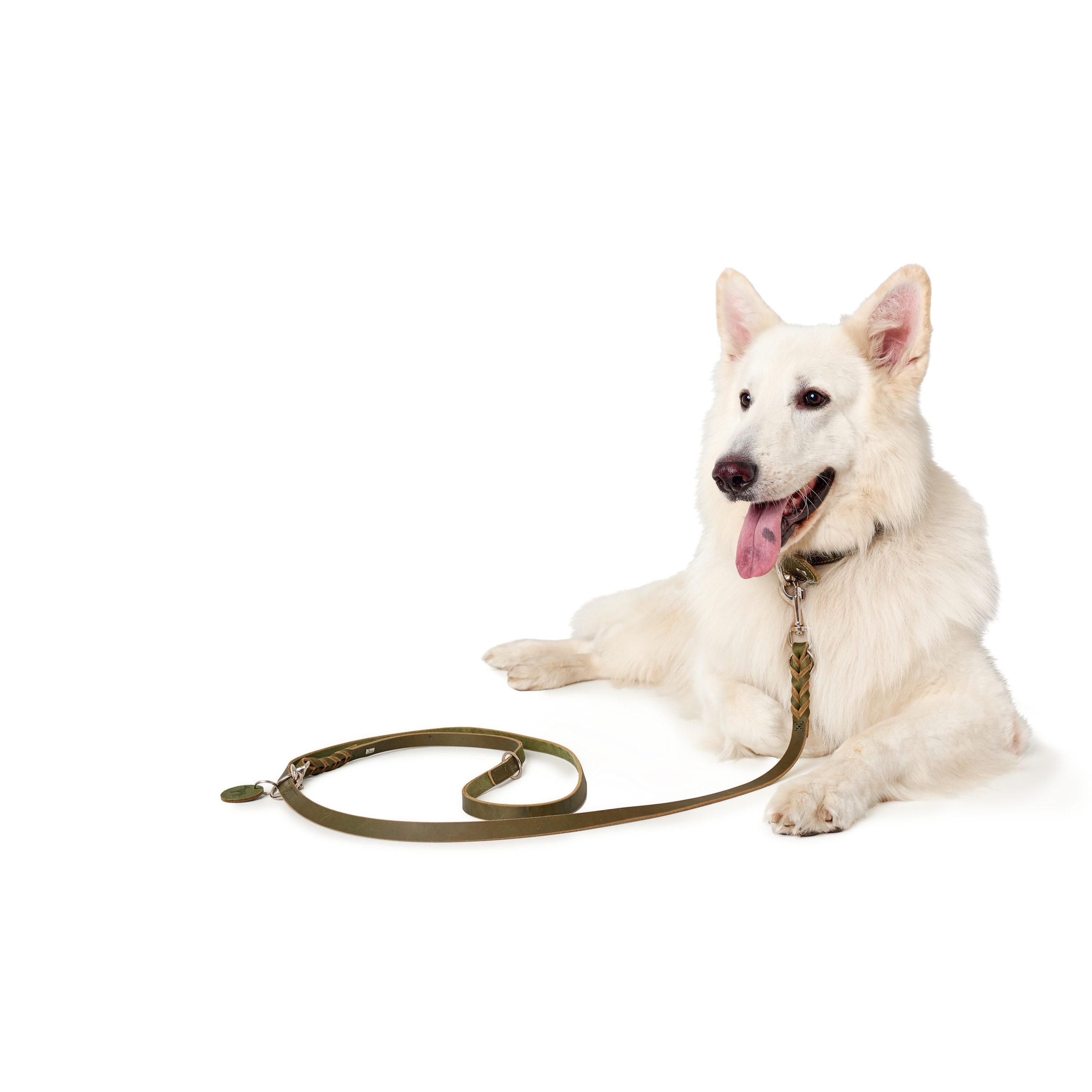 Hunter | Hundeleine Leder | Solid Education | Verstellbare Führleine | Rindsleder | Olivgrün