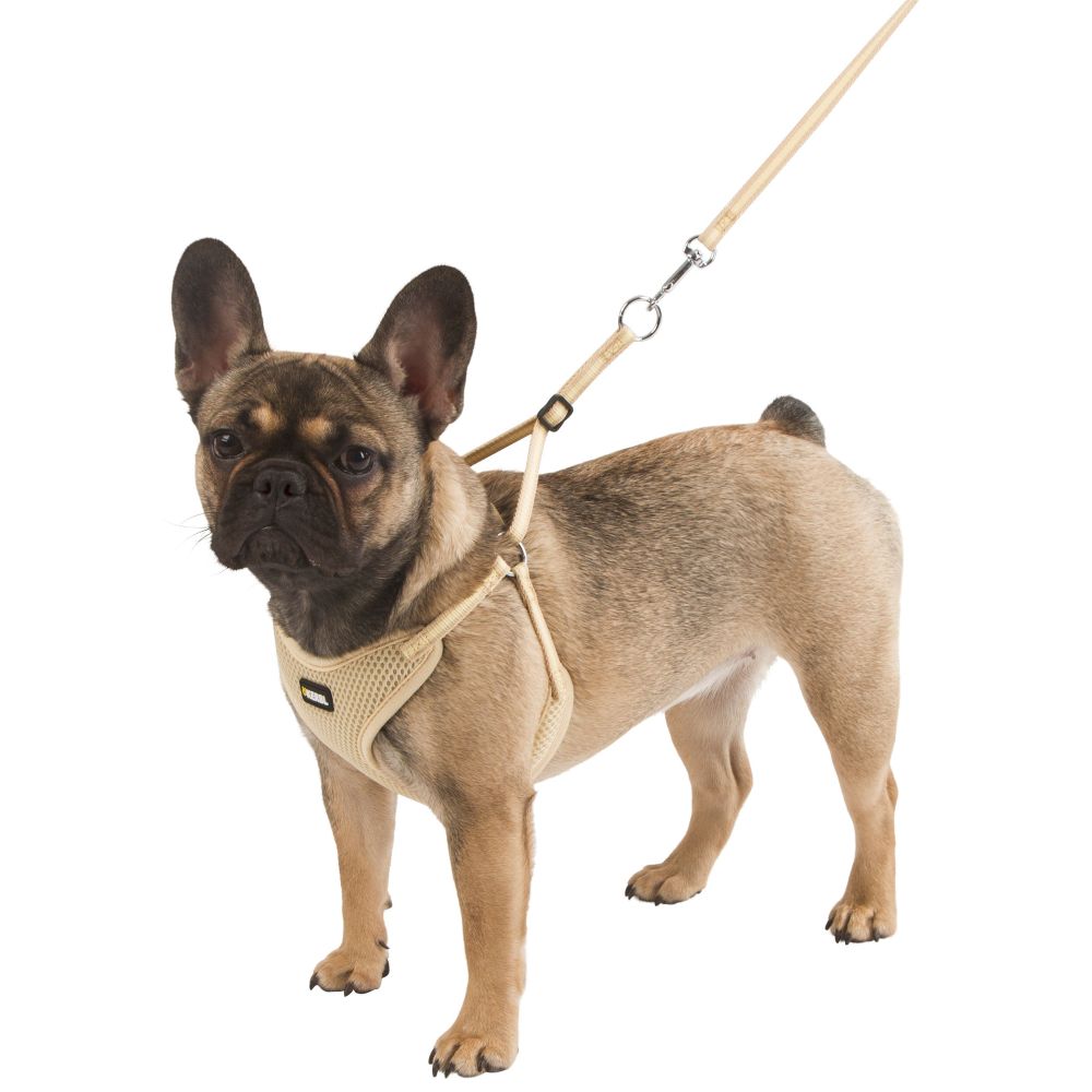 Hundegeschirr mit Leine | Braun | versch. Größen | Welpengeschirr | Klippverschluss | Mesh