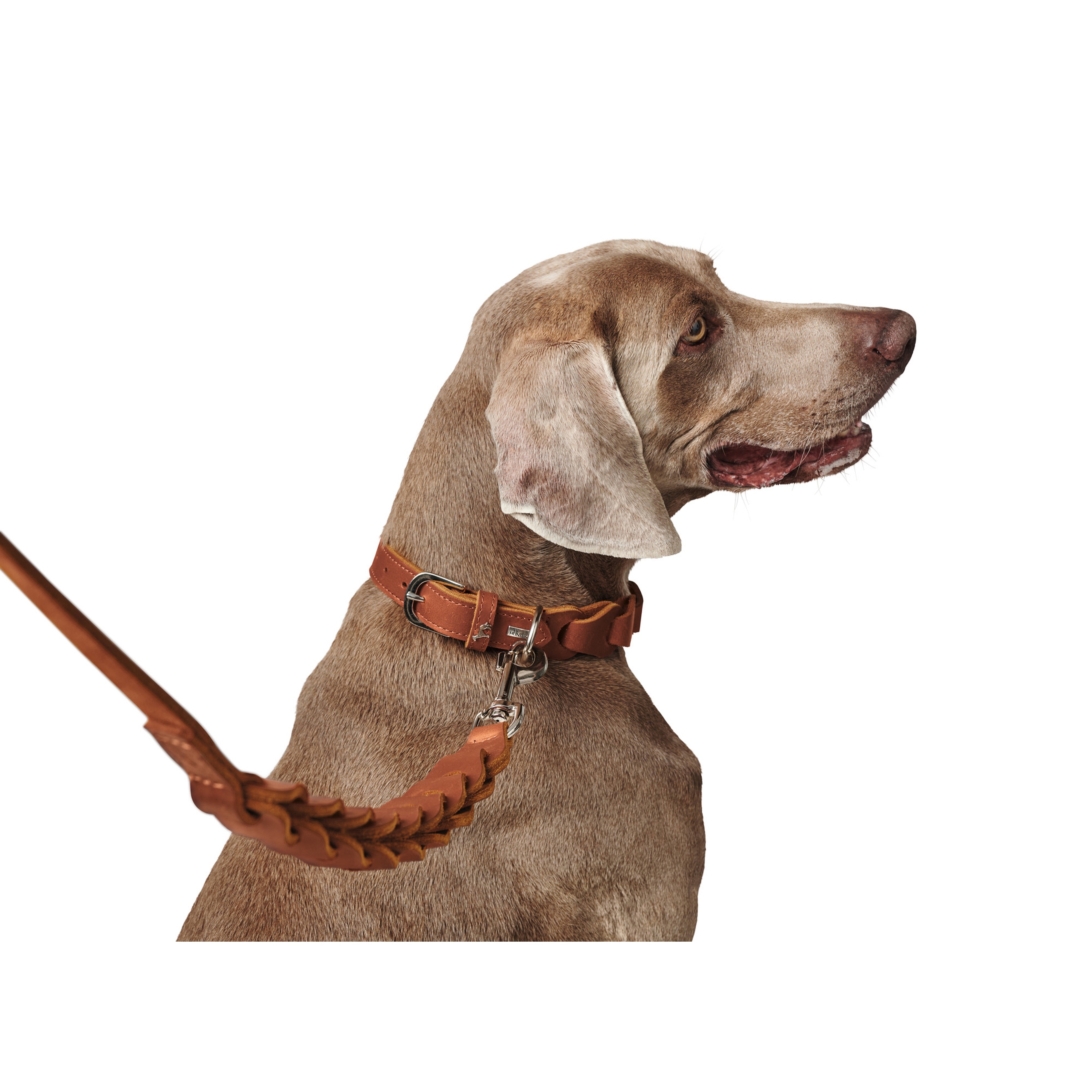 Hunter | Solid Education Chain | Halsband | Rindsleder | Komfort | Langlebig