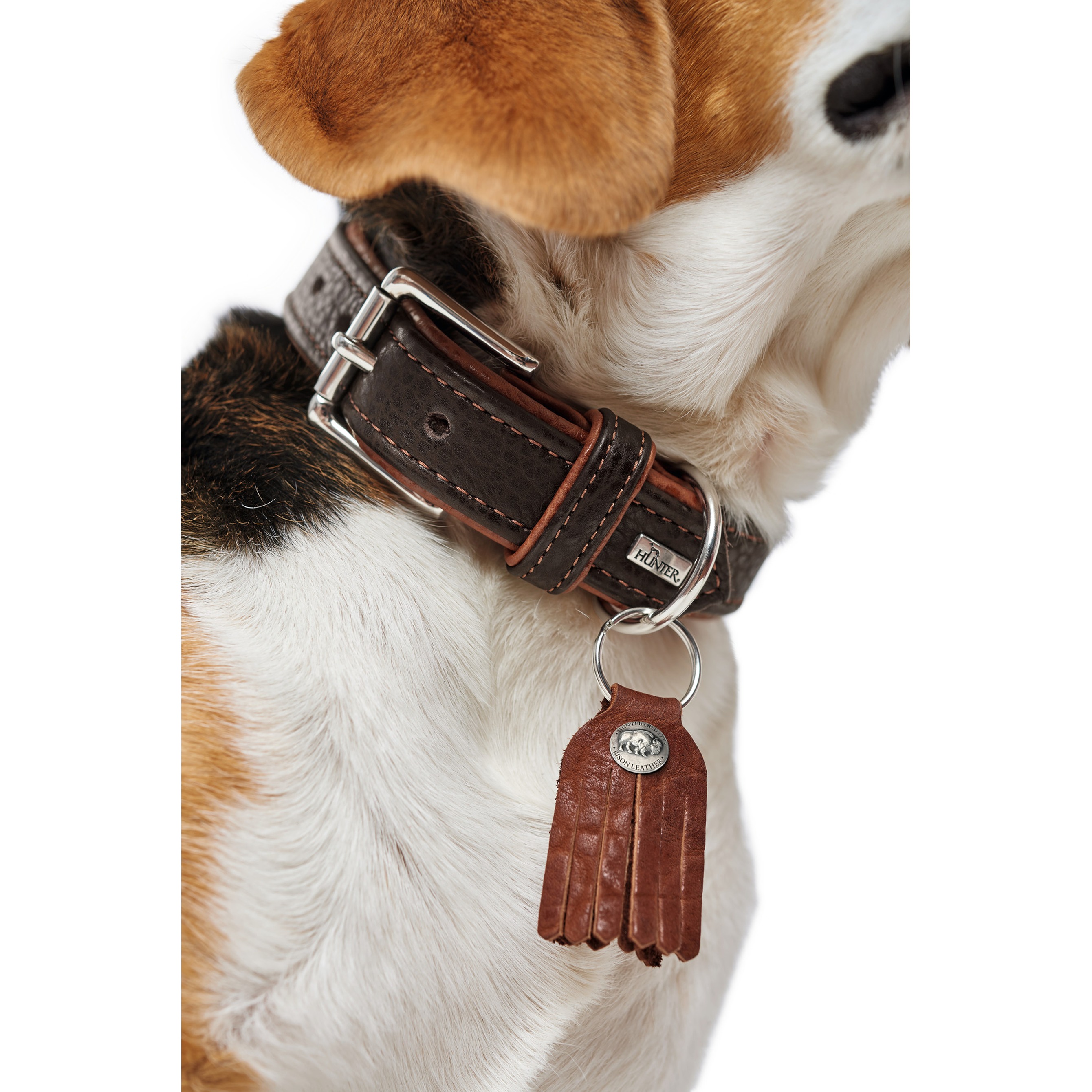Hunter | Cody | Halsband | Bisonleder | Komfort | Robust | Langlebig | Stabil