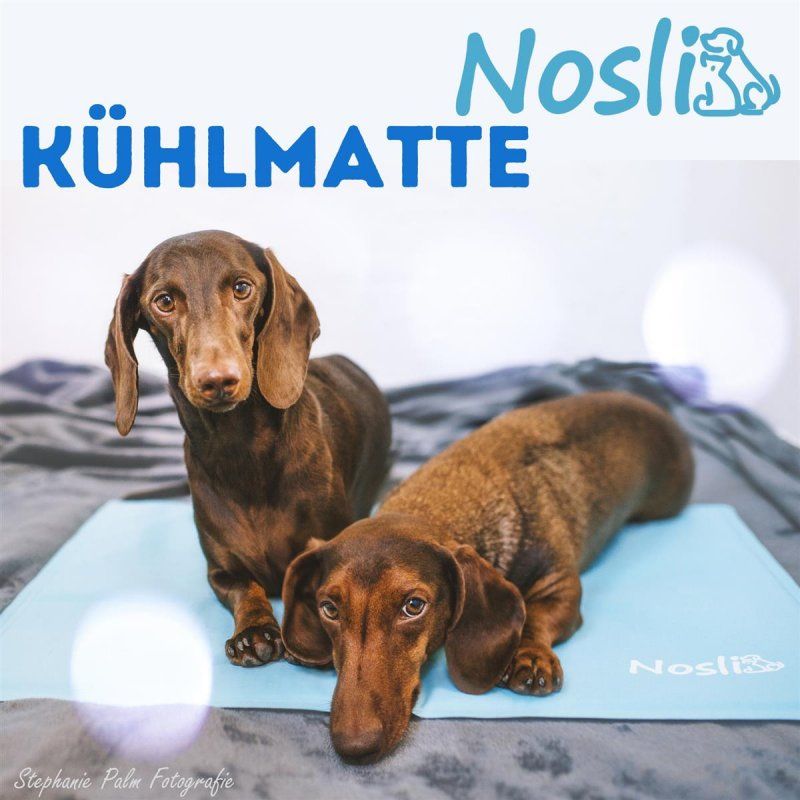 nosli-kuehlmatte-fuer-hunde-und-katzen-ice-blue-xl-76-x-103-cm_2