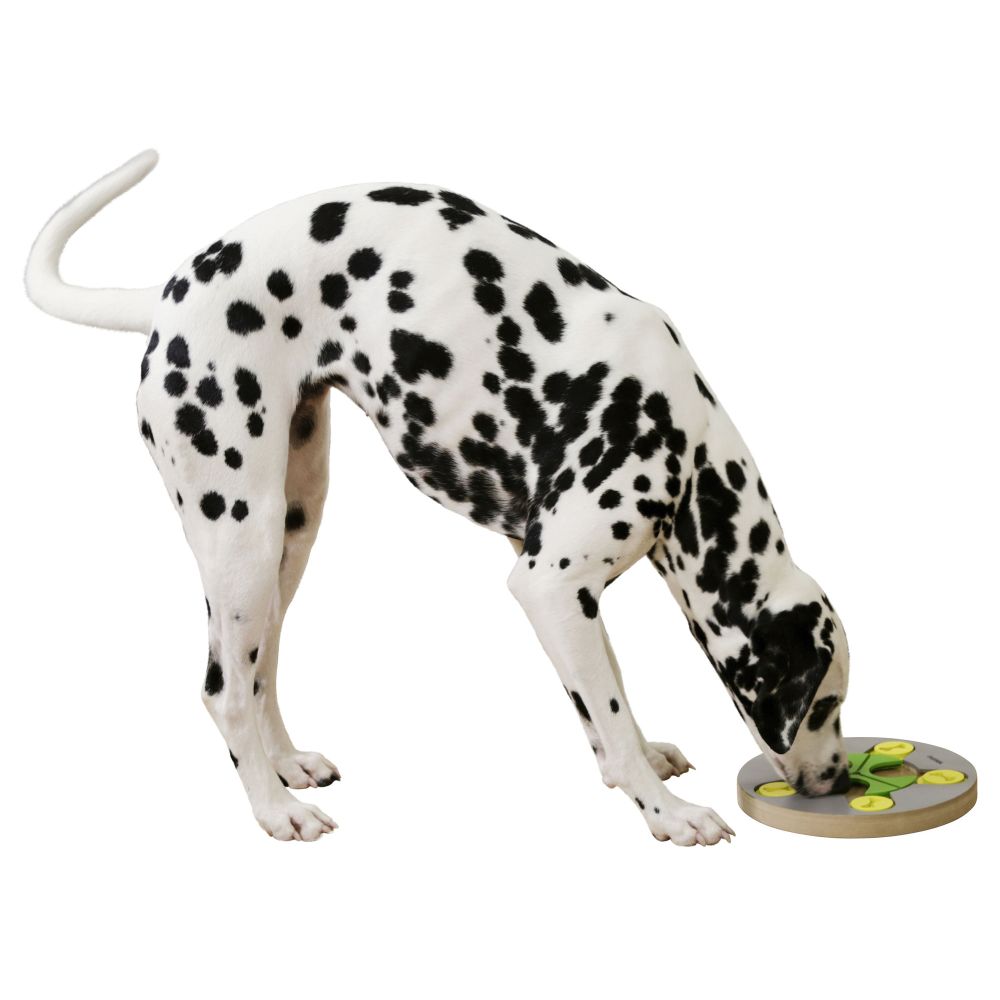 Hundespielzeug | Denk- und Lernspielzeug | Switch | 25cm
