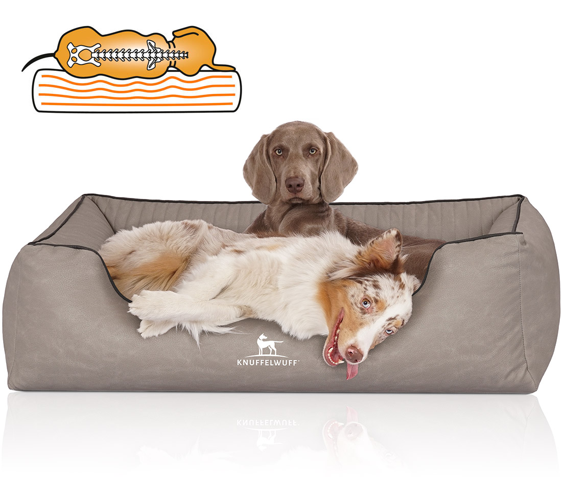 Knuffelwuff | Orthopädisches Hundebett Columbia | Ergonomisch |  Hundematte | Matratze | Memory Foam