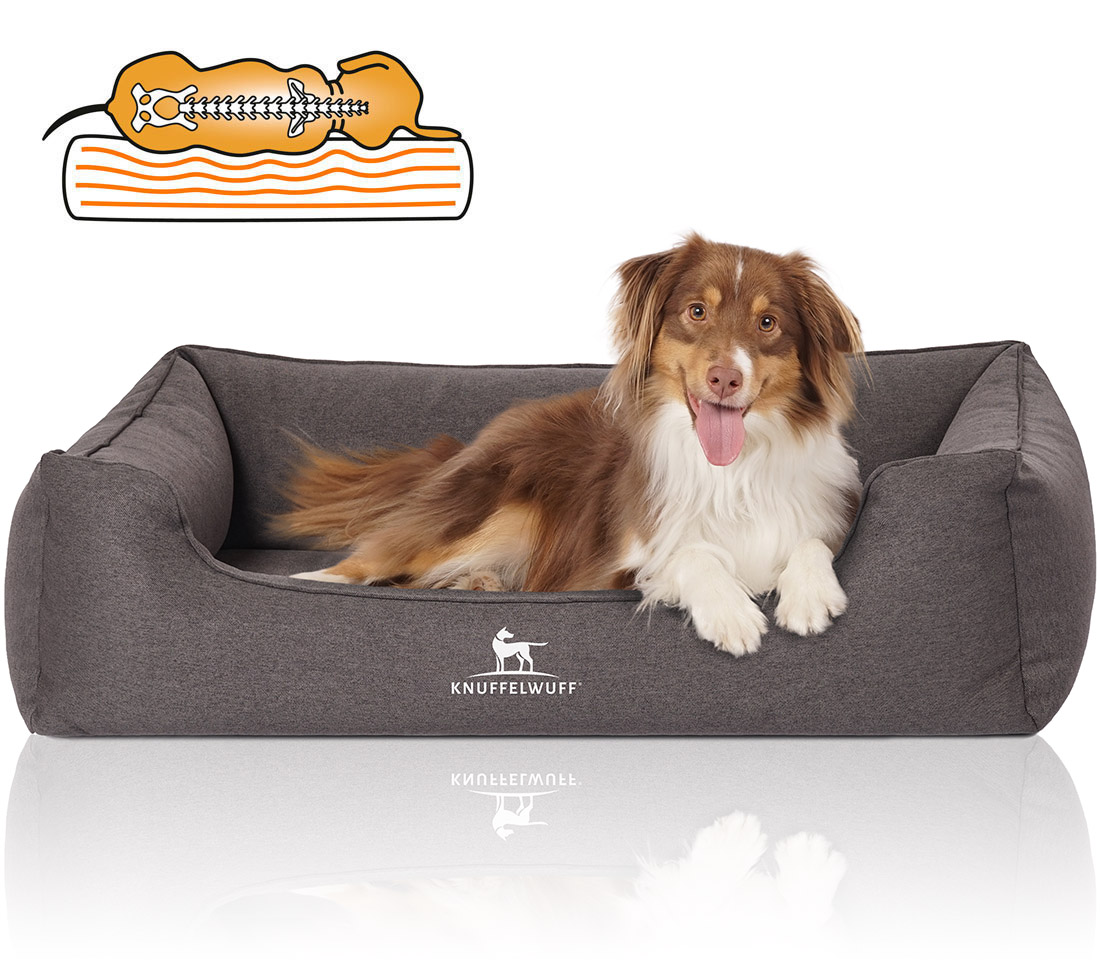 Knuffelwuff | Orthopädisches Hundebett Leano | Ergonomisch |  Hundematte | Matratze | Memory Foam