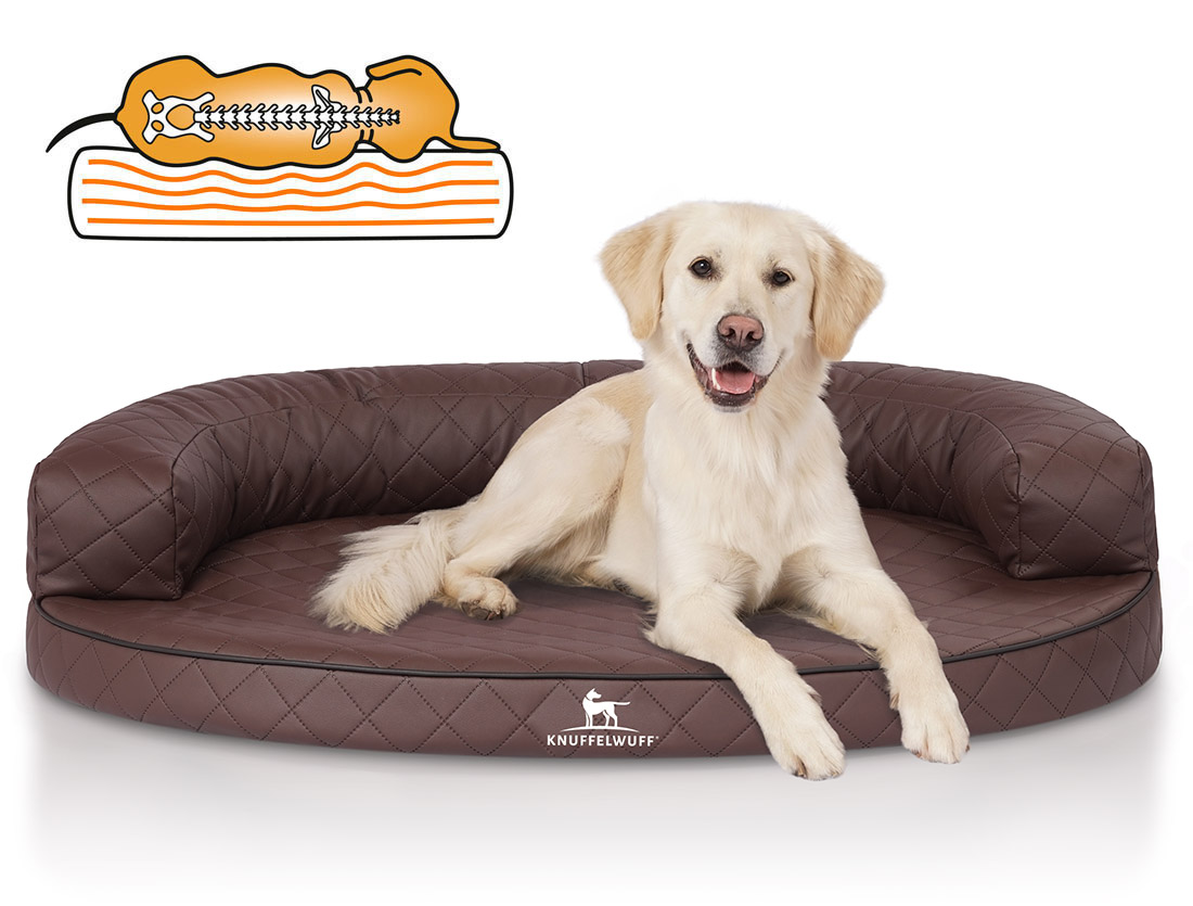 Knuffelwuff | Orthopädisches Hundebett Hanna | Ergonomisch | Hundematte | Matratze | Memory Foam