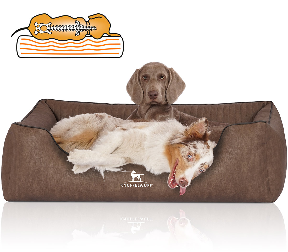 Knuffelwuff | Orthopädisches Hundebett Tampa | Ergonomisch |  Hundematte | Matratze | Memory Foam