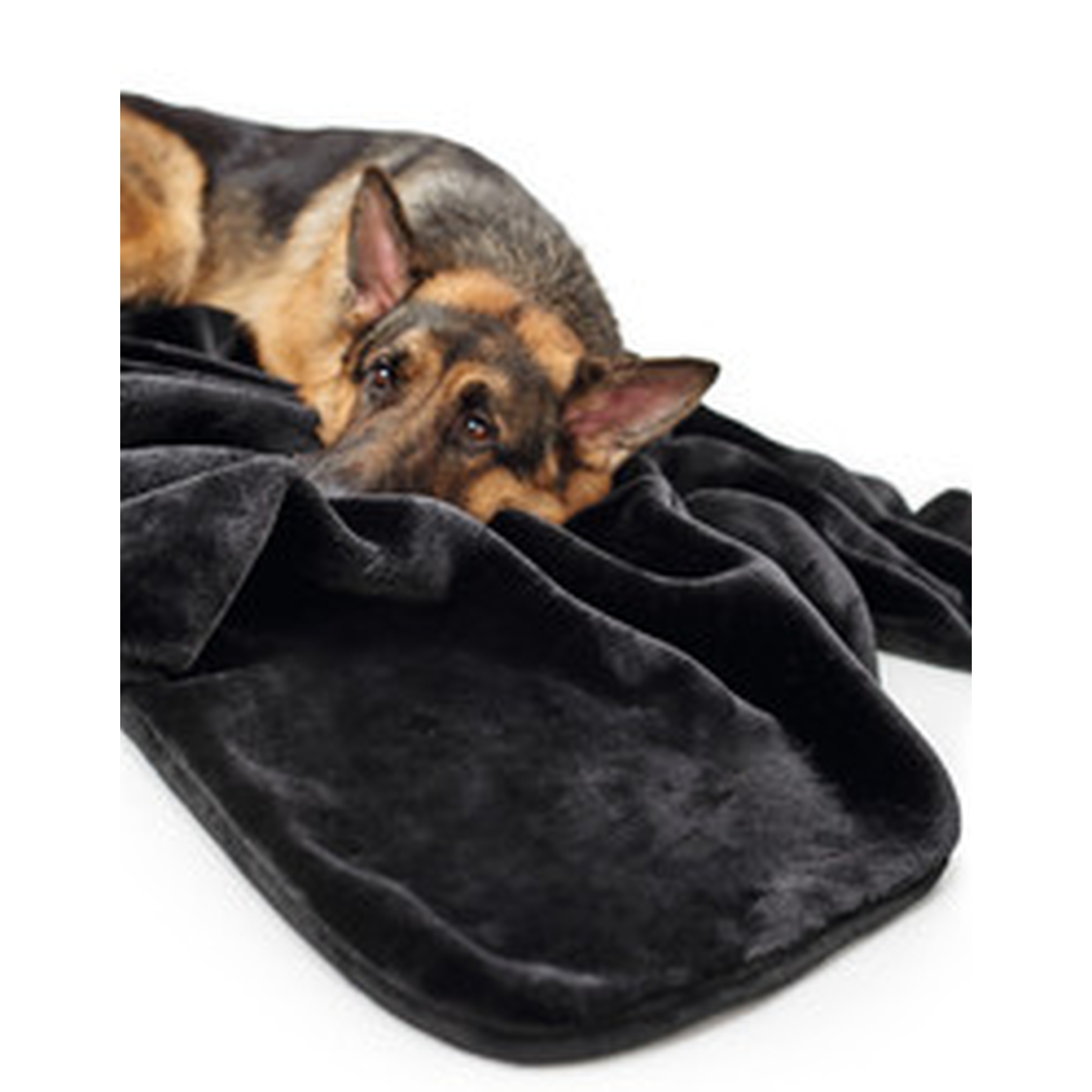 Hunter | Hörnum | Hundedecke | Polyester | 100x70 cm | Kuscheln | Komfort | Langlebig