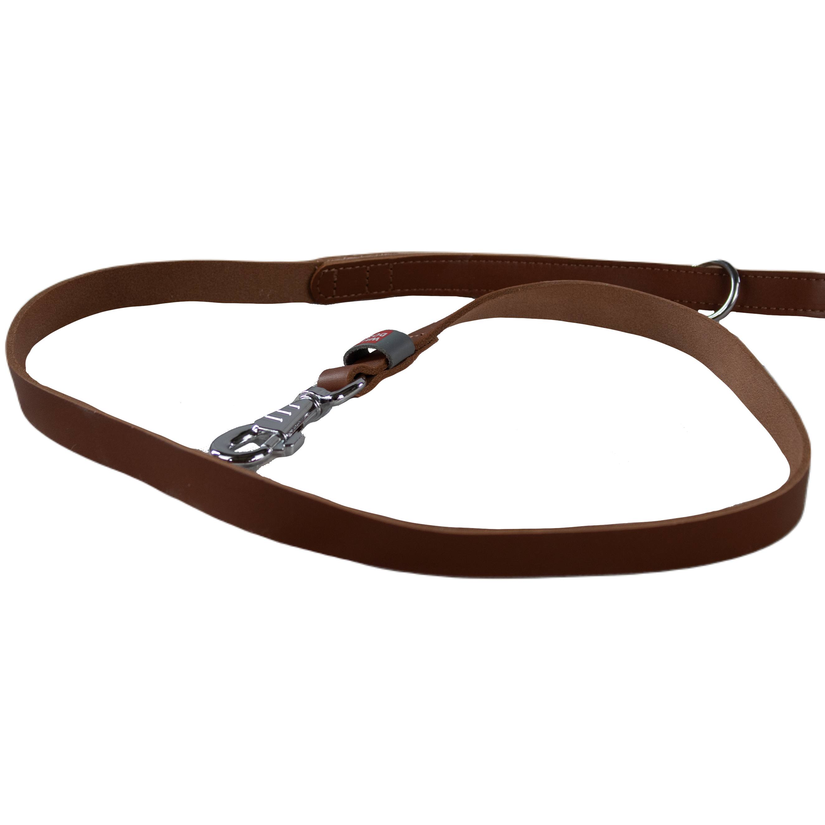 WAUDOG | Hundeleine Classic Leather | Lederleine | Führleine | Robust | 122 cm | versch. Farben