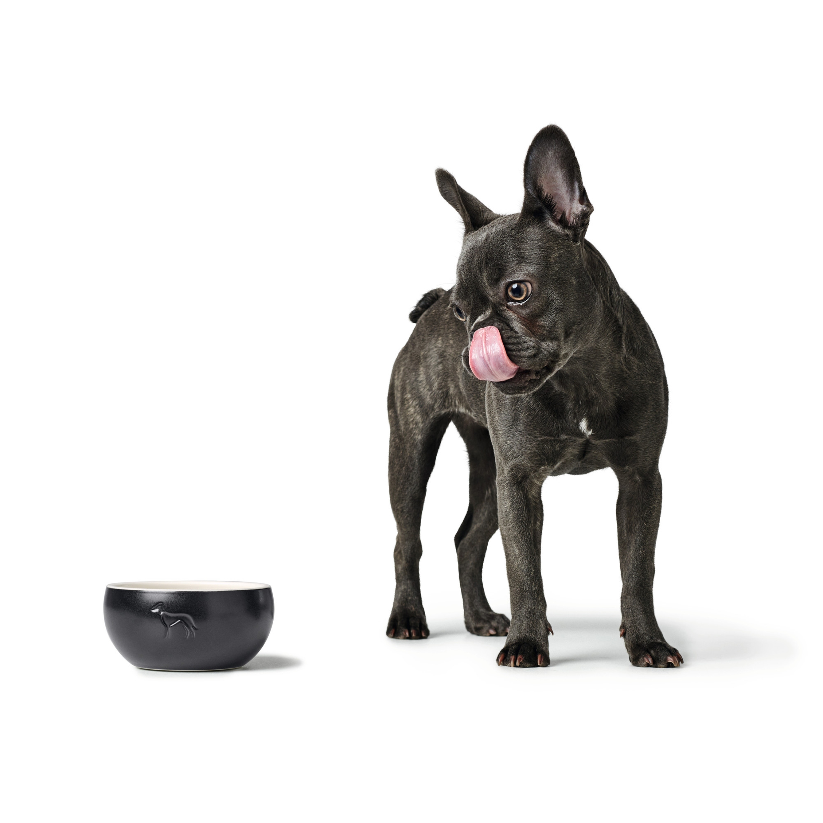 Hunter | Lund | Keramik Napf | Keramik | Schick | Elegant | Futter | Robust