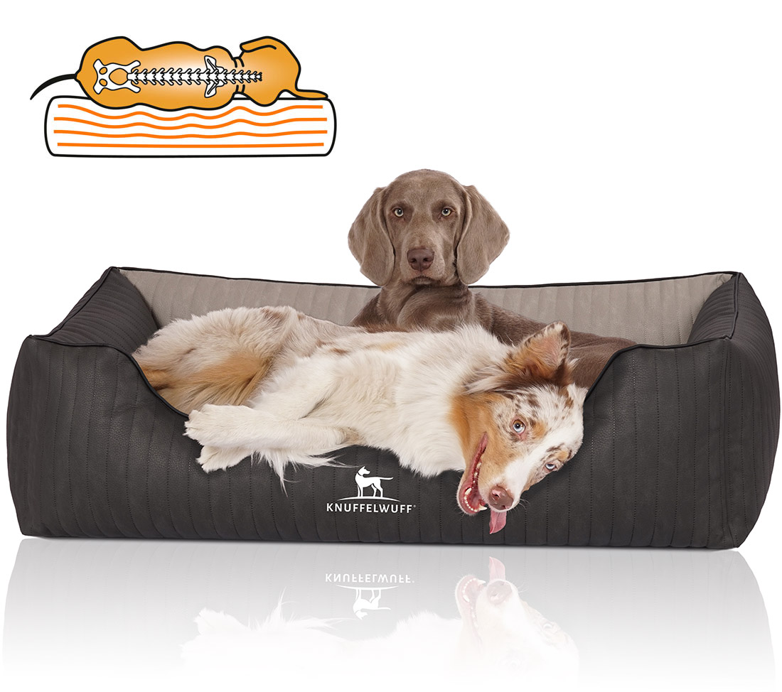 Knuffelwuff | Orthopädisches Hundebett Outback | Ergonomisch |  Hundematte | Matratze | Memory Foam