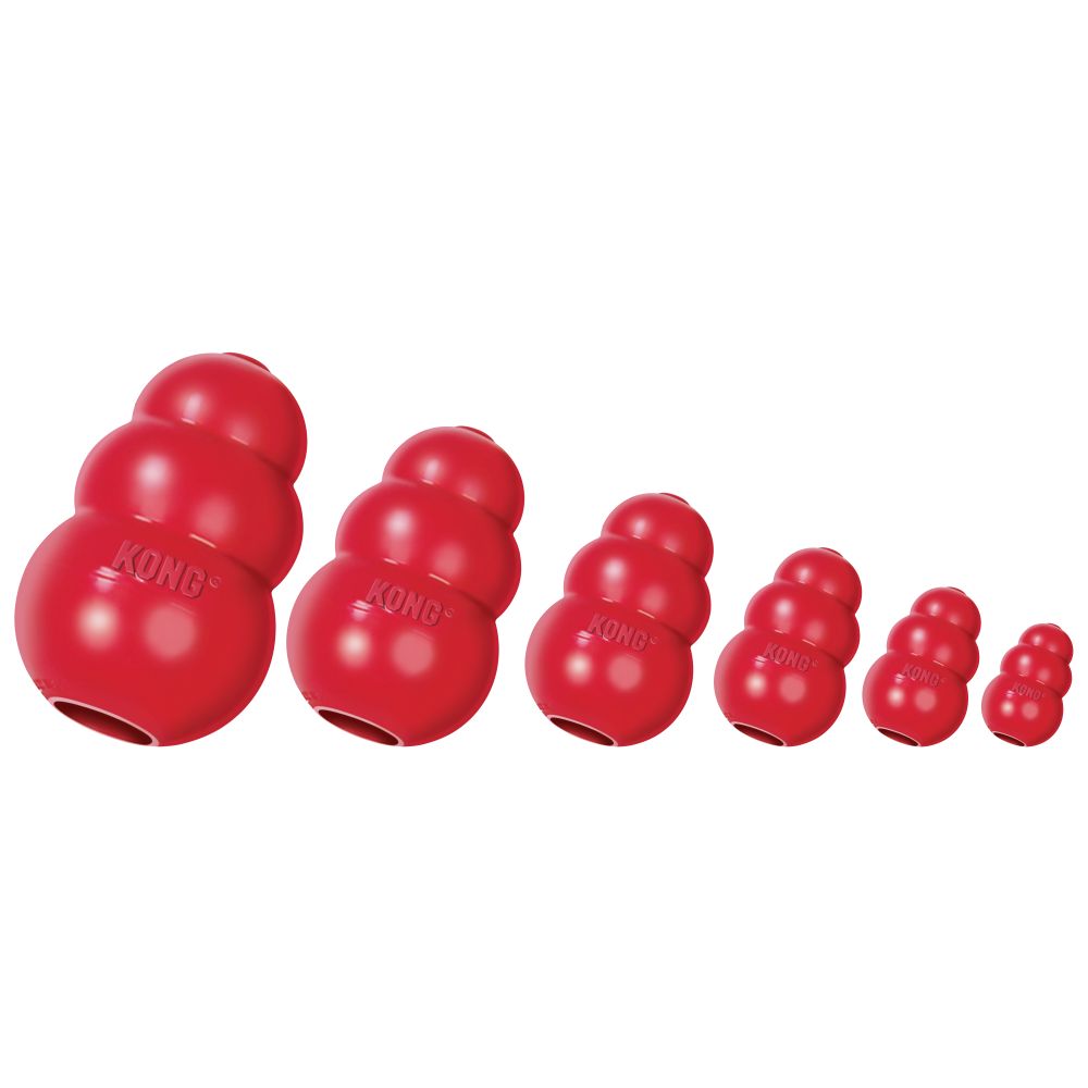 KONGT4E_KONGT3E_KONGT2E_KONGT1E_KONGKXLE_KONGKKE_GROEP