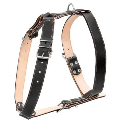Leder Hundegeschirr Schwarz Geschirr Leder
