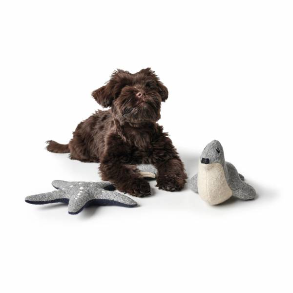Hunter | Skagen | Hundespielzeug | Wolle | Polyester | Spaß | Langlebig | Freude Hunter | Skagen | Hundespielzeug | Wolle | Polyester | Spaß | Langlebig | Freude