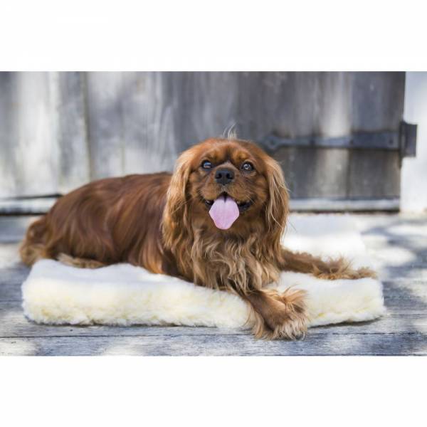 Hundedecke | Fleece Mat | versch. Größen