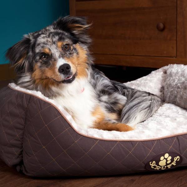 Warmako | Hundebett Scruffs Wilton | Verschiedene Größen & Farben | Gemütliches Kuschelbett Warmako | Hundebett Scruffs Wilton | Verschiedene Größen & Farben | Gemütliches Kuschelbett