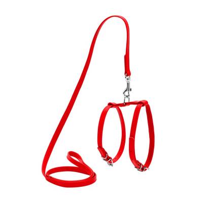 Lederleine Rot + Lederhundegeschirr Rot SET