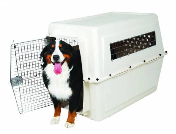 Hundebox | Transport | Federverschluss | Boxen | Beige | Kunststoff | 122x81.3x89 cm