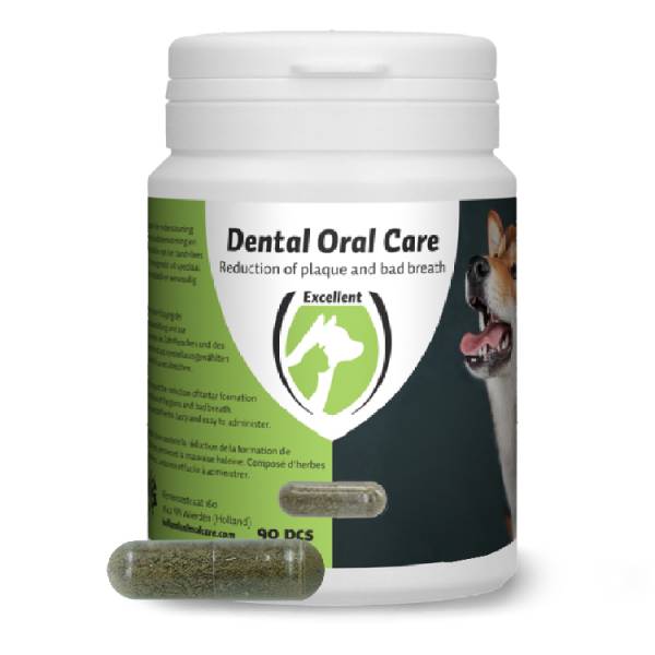 Excellent | Pflege & Hygiene | Dental Oral Care Hund | Nahrungsergänzung | 90 Tabl. Excellent | Pflege & Hygiene | Dental Oral Care Hund | Nahrungsergänzung | 90 Tabl.