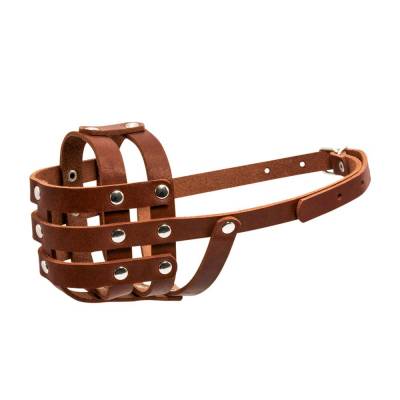 Hundemaulkorb Leder Braun Umfang Schnauze: 26 cm