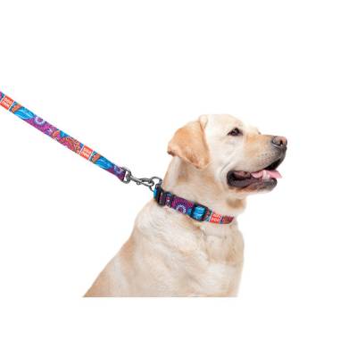 Collar | Hundeleine WAUDOG Summer | Bunt | 122 cm Länge | Nylongewebe | verschleißfest