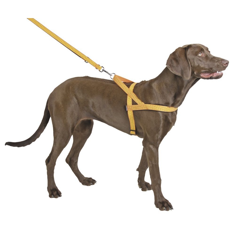Norweger-Geschirr Elly Blau Größe M - 52-65cm Nylon Hundegeschirr 25mm